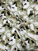 1-IMG_8064